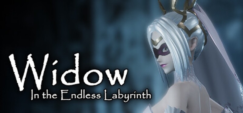 Widow in the Endless Labyrinth Game Cover