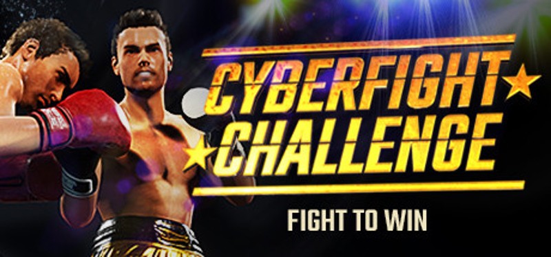 Cyber Fight Challenge Game Cover