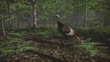 Pro Turkey Hunting Image