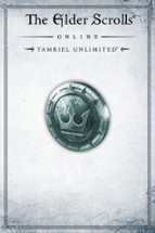 The Elder Scrolls Online: Tamriel Unlimited Image