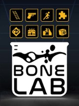 Bonelab Image