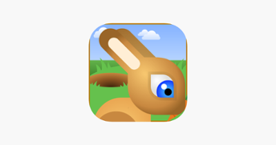 Bunny Rabbit Jump Race Image