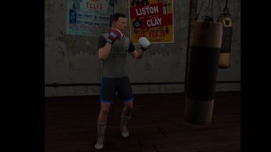 True Boxing VR Image