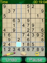 Sudoku Amazing Puzzle Image