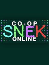 Co-op SNEK Online Image