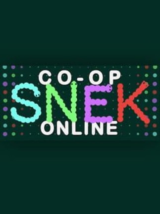 Co-op SNEK Online Game Cover