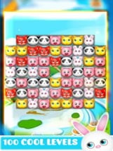 Happy Pet: Match 3 Puzzle Animals Image