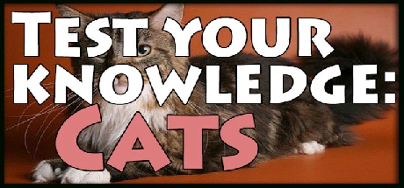 Test your knowledge: Cats Game Cover