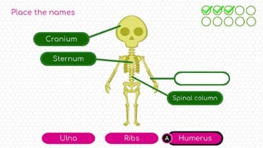 BodyQuest Image