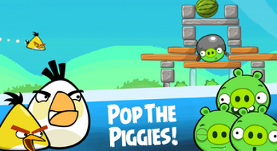 Angry Birds Project R Image