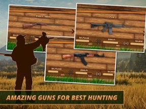 Duck Hunting Wild Simulator Image