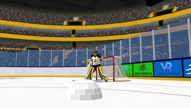 Hockey Shooter VR Image