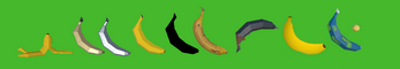 Banana For Scale Image