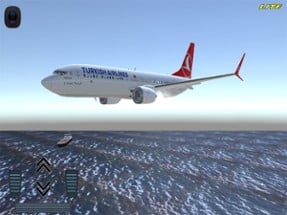 Flight 737 - Maximum LITE Image