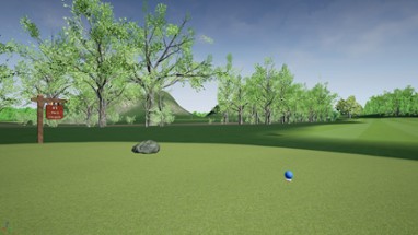 Golf Pro VR Image