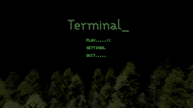 Terminal Image