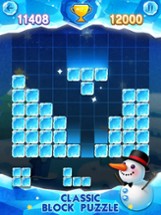 Block Puzzle Ice Image