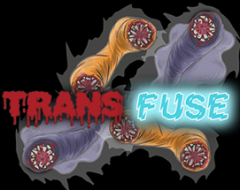 TransFuse Image