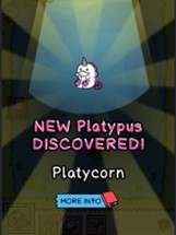 Platypus Evolution: Match Game Image