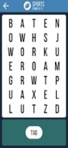 Word Search Brain Puzzle Image