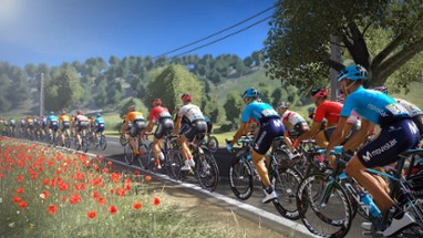 Tour de France 2019 Image