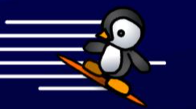 Penguin Skate 2 Image
