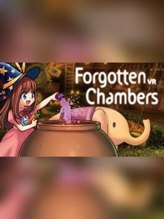 Forgotten Chambers Game Cover