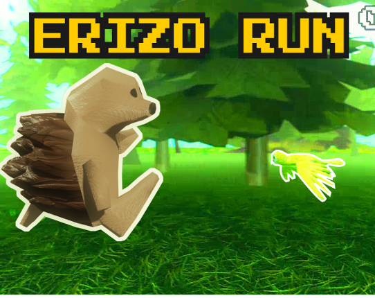 Erizo Run Game Cover