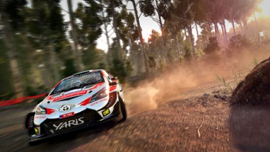 WRC 8 Image