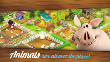 Hay Day Image