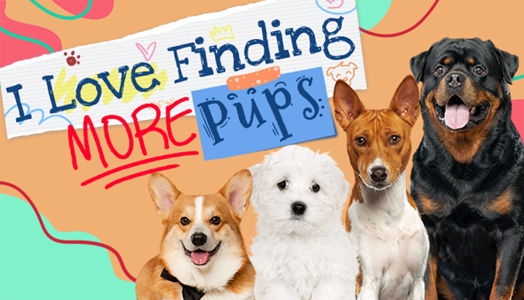 I Love Finding MORE Pups Game Cover