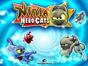 Ninja Hero Cats Image