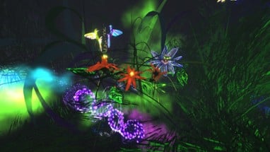 Colibri XR Immersive Art Gallery Image