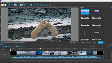 DIKDIK Video Converter Image