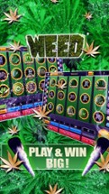 Dream of Weed Slot Machines – Free Slots &amp; Casino Image