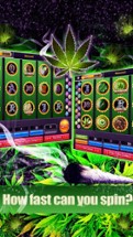 Dream of Weed Slot Machines – Free Slots &amp; Casino Image