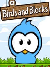 Birds and Blocks Image