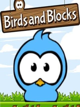 Birds and Blocks Game Cover