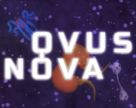 Ovus Nova Image