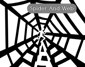 Spider And Web Image