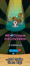 Octopus Evolution Image
