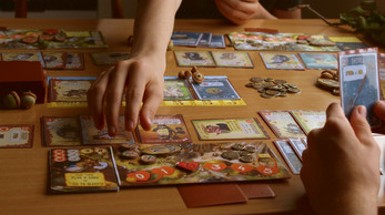 Squirrel Island Card Game Image