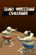 Sumo Wrestling Challenge Image