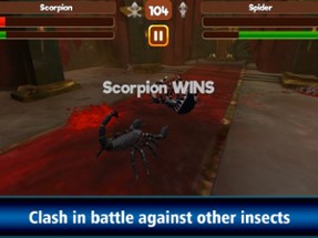 Scorpion Fight: Insect Battle Image