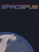 Super Space Pug Image