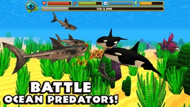 Wildlife Simulator: Shark Image
