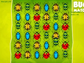 Bugs Match Game 2016 : Good Match Image