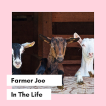 Farmer Joe Image