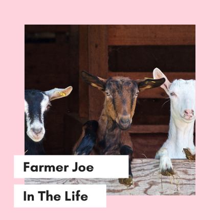 Farmer Joe Game Cover