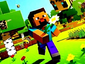 Minecraft Hidden Stars Image